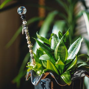 May include: A green snake plant in a black pot with a decorative crystal and bead topper. The plant has long, pointed leaves with a light green and dark green pattern.