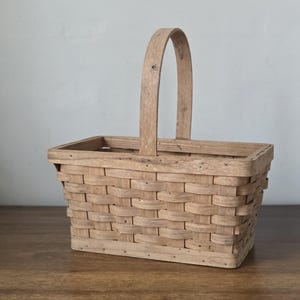 Vintage Indoor Bent Wood Planter Basket with Plastic Liner