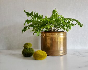 Large Brass Planter - Solid Brass, 7.5 Inch Diameter, 6 Inch Tall, Houseplant, Grand Millenial, Traditional Decor - A327