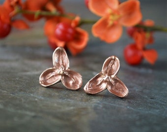 Bittersweet Stud Earrings, Seed Pods in Red Bronze with Sterling Silver Posts, Prairie Jewelry, Gift for Her