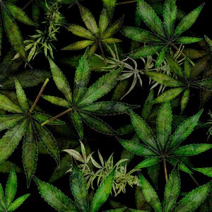 May include: A seamless pattern featuring detailed green cannabis leaves against a black background. The leaves vary in size and are rendered with intricate vein details and a subtle, glowing outline, creating a naturalistic and botanical theme.