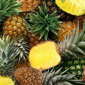 May include: A vibrant image showcasing a collection of fresh pineapples. The image features whole pineapples with their spiky green crowns, alongside slices revealing the juicy yellow flesh. The pineapples have a textured, brown exterior.