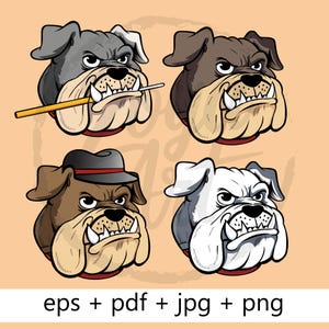 Bulldog Mascot | Digital Download | Bulldog mascot design PNG |