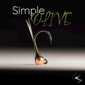 May include: A close-up of a simple olive fly fishing lure with a green body and a copper bead. The lure is tied on a hook with a white feather.
