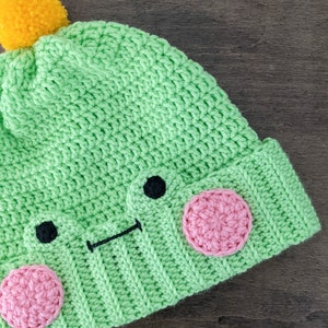 May include: Green crocheted hat with a yellow pom-pom on top and a cute frog face with pink cheeks and black eyes.