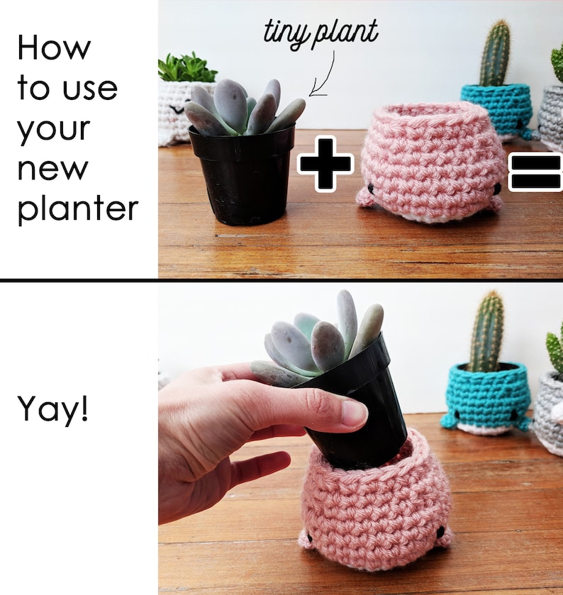 llama planter crochet pattern, crochet mini planter, succulent planter, cactus plant pot cover, alpaca crochet planter, crochet home decor image 8