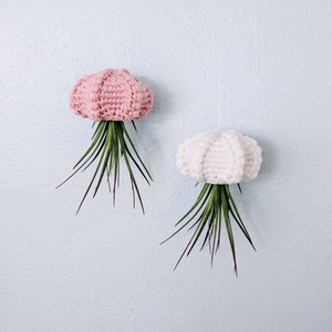 hanging air planter crochet pattern, jellyfish air planter, air plant hanger, mori girl, cottage core decor image 3