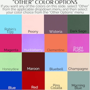 May include: A color chart featuring sixteen distinct squares with labels: Robin's Egg, Peony, Wisteria, Dark Sage, Magenta, Huckleberry, Clementine, Bright Purple, Honeydew, Maroon, Bluebell, Champagne, Blue, Red, Pina Colada, and Morning Blue.