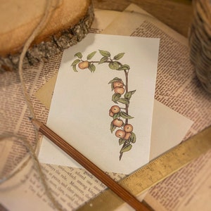 Illustration botanique "Applewood" A6, A5, carte postale, à encadrer, cottagecore, slow life, décoration, aquarelle, pommier.