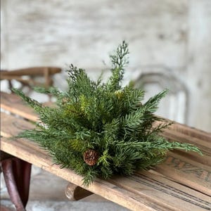 Puede incluir: Un pequeño arreglo de hoja perenne verde con una piña, que descansa sobre un trineo de madera vintage con corredores de metal rojo. El arreglo presenta varias tonalidades de verde y marrón, creando una estética natural y rústica.