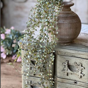 May include: A rustic wooden vase sits atop a distressed, light green cabinet. Trailing greenery with small, round leaves cascades down the front of the cabinet. The vase and cabinet create a vintage, farmhouse aesthetic.
