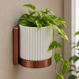 May include: A white, ribbed ceramic planter with a copper-colored metal base and wall mount, holding a vibrant green plant with yellow-green variegated leaves. The plant is cascading down. The planter is mounted on a neutral-colored wall.