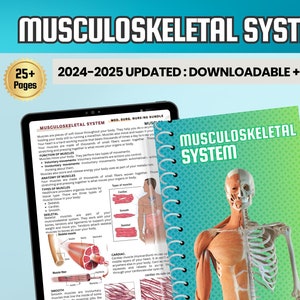 Musculoskeletal Nursing Notes and Study Guide | Muscle Anatomy, Skeletal System & Joint Physiology | Essential Med-Surg Resource