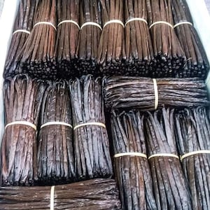 Premium Quality Vanilla beans