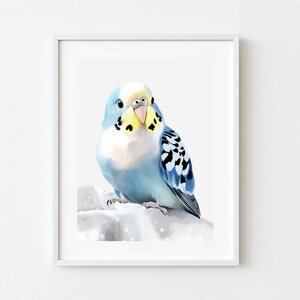 Sittich Print, Blauer Wellensittich, digital herunterladbarer Druck, druckbare Wandkunst, Vogelliebhaber Kunst