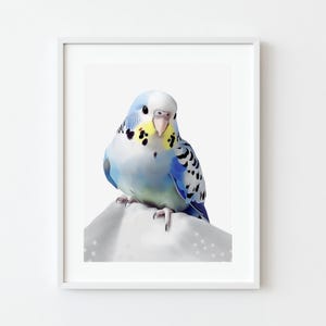 Sittich Print, Sky Blue Wellensittich III, digital herunterladbarer Druck, druckbare Wandkunst, helle Vogelliebhaber Kunst