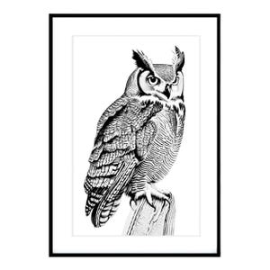 Owl Artwork, Owl Printable Downloadable Prints, Bird Printable, Monochrome Owl Print, Bird Wall Art, Owl Decor, Black and White Owl Art