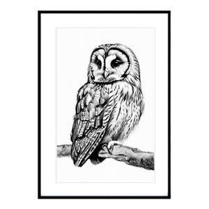 Barn Owl Artwork, Owl Printable Downloadable Prints, Bird Printable, Monochrome Owl Print, Bird Wall Art, Owl Decor, Black and White Owl Art