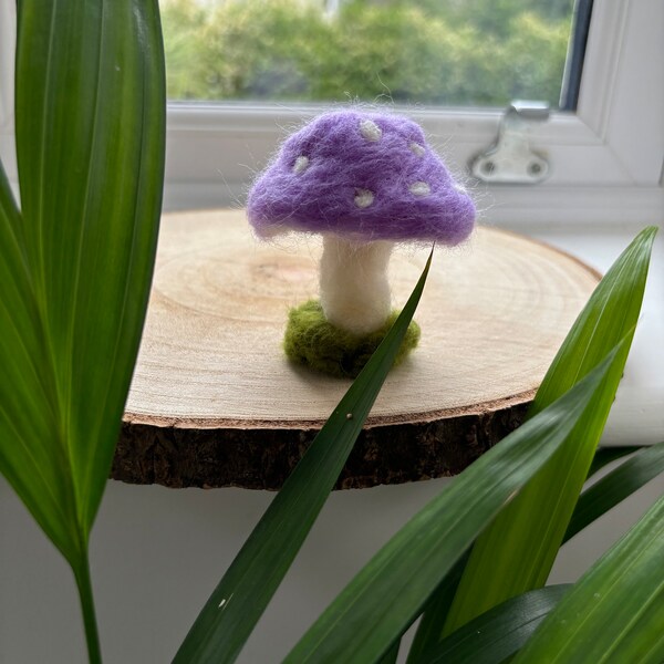 Needle Felt Mushroom Etsy Uk