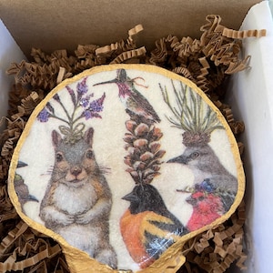Könnte beinhalten: Ein dekorativer, muschelförmiger Gegenstand mit einer Collage von Waldtieren. Ein Eichhörnchen, Vögel und andere Tiere sind mit floralen und Tannenzapfen-Akzenten dargestellt. Die Muschel hat einen goldfarbenen Rand und wird in einer Pappschachtel mit braunem Papierfüllmaterial präsentiert.