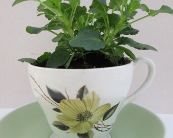 Cup saucer planter | Etsy Cup saucer planter | Etsy