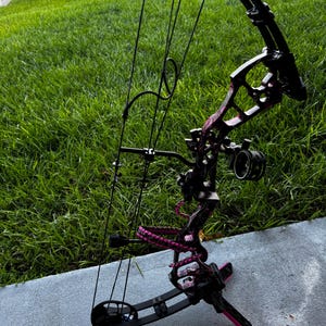 Bow Coaster