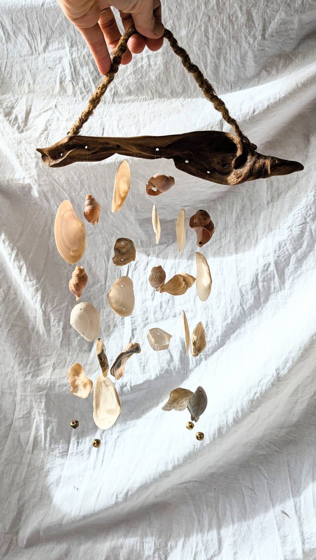 Bell Made From Shell Shells Bells Driftwood Mobile Windvchime - Etsy