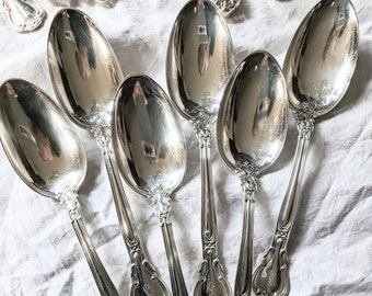 solid sterling silver 5 PC setting flatware 1895 S monogram 48 pieces