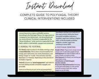 Polyvagal-Theorie Spickzettel: Definitionen, Nervensystem Zustände & Regulationswerkzeuge