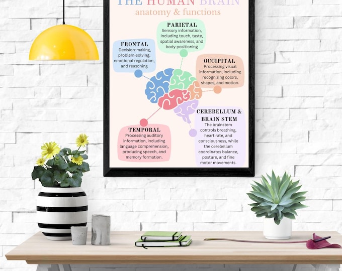 The Human Brain Anatomy & Functions - Digital Print - Counseling Tool ...