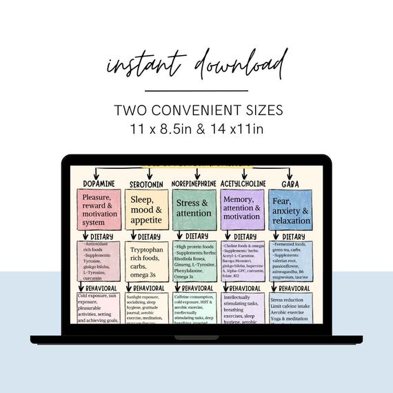 Neurotransmitters Chart: Your Guide to Brain Chemistry - Counseling Tool -  Etsy