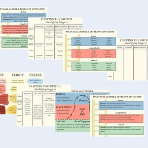 Polyvagal Theory Digital Resource Pack - Worksheet Included!