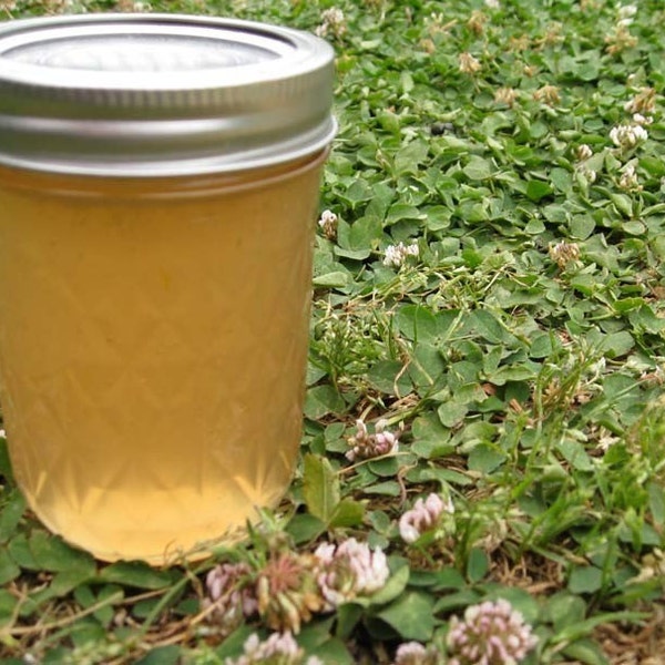 White Clover Jelly 8 Oz Jar No Pesticides ORGANIC