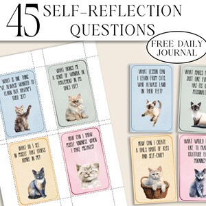 Affirmatie- en reflectiekaarten voor katten voor zelfontdekking, mindfulness, persoonlijke groei, dagelijkse empowerment en vragen over positieve reflectie