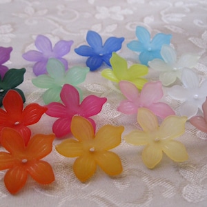 100pcs Choose Your Color Mix Frosted Flower Bead Lucite Acrylic Flower Cap Bead 20mm 415B