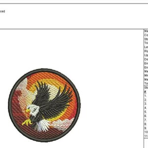 Toppa Ricamo Flying Eagle, Maxi Applicata Da Cucire O Stirare. Regalo Sfizioso Per Giacche O Borse.