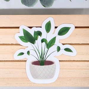 Puede incluir: Una pegatina con una planta en maceta con hojas verdes grandes y una maceta blanca con un patrón de diamantes. La planta tiene una base marrón y está colocada sobre un fondo de madera clara. Hojas decorativas de eucalipto en la parte superior.