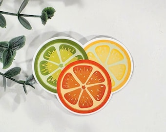 Orange, Lime & Lemon Slice Sticker – Handmade Fruit Vinyl Decal
