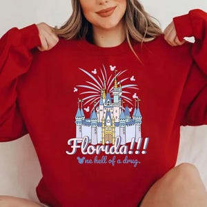 Florida One Hell Of A Droge Komfort Farben Shirt, Disney Schloss Sweatshirt, Familie Passendes T-Shirt, Walt Disney World T-Shirt, Disneyland Geschenk Bild 5