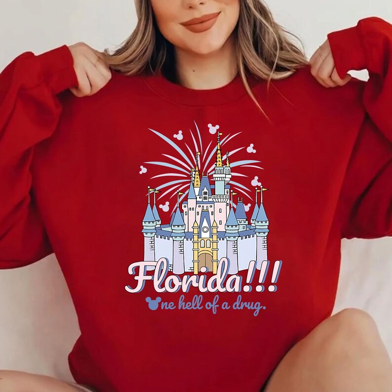 Florida One Hell Of A Droge Komfort Farben Shirt, Disney Schloss Sweatshirt, Familie Passendes T-Shirt, Walt Disney World T-Shirt, Disneyland Geschenk Bild 5