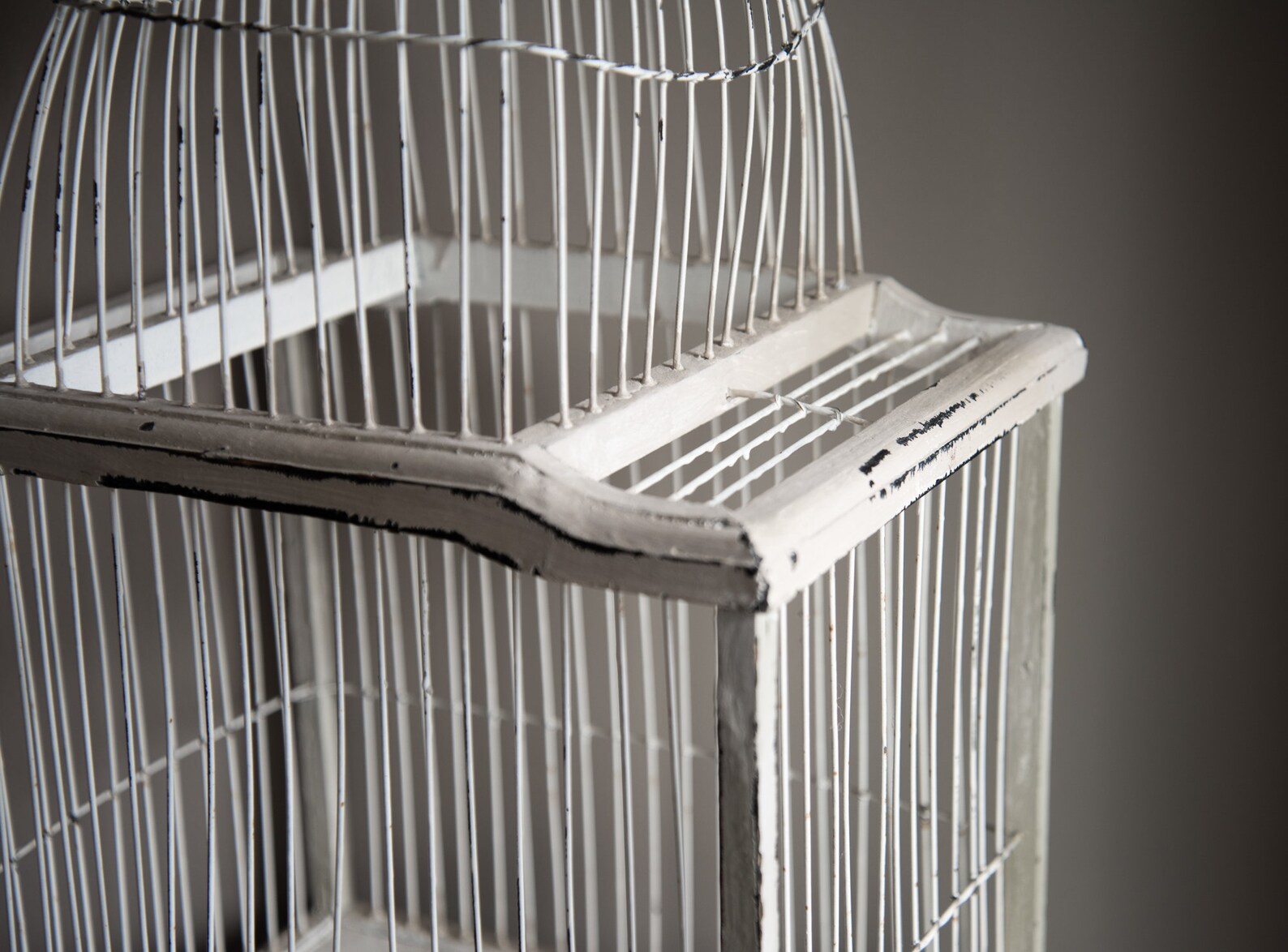 Wooden Bird Cage - You Won't Believe What Happens Next