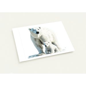 Ensemble de cartes de voeux aquarelle ours polaire - Lot de 10 personnalisés respectueux de l'environnement avec poème/faits