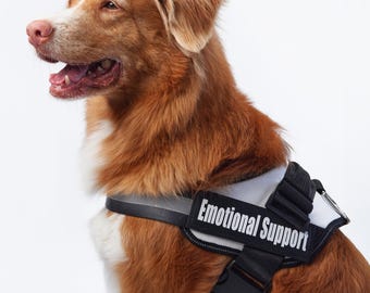 Harness for emotional support dog deals