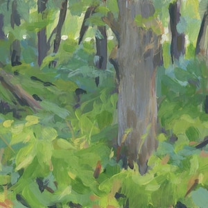 Original Painting , Woods at Glacial Lakes- 5x7&quot;  Plein Air / Small Landscape