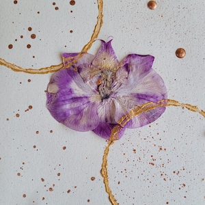 ORCHIDÉE Arte botanique