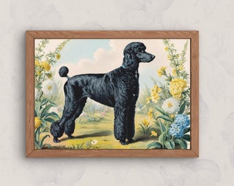 May include: A vintage illustration of a black poodle standing in a field of flowers. The poodle is wearing a blue collar and has a curly tail. The flowers are yellow, white, and blue.
