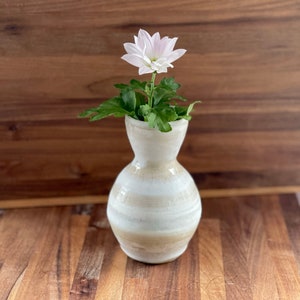 Stoneware Vase frosted with Porcelain