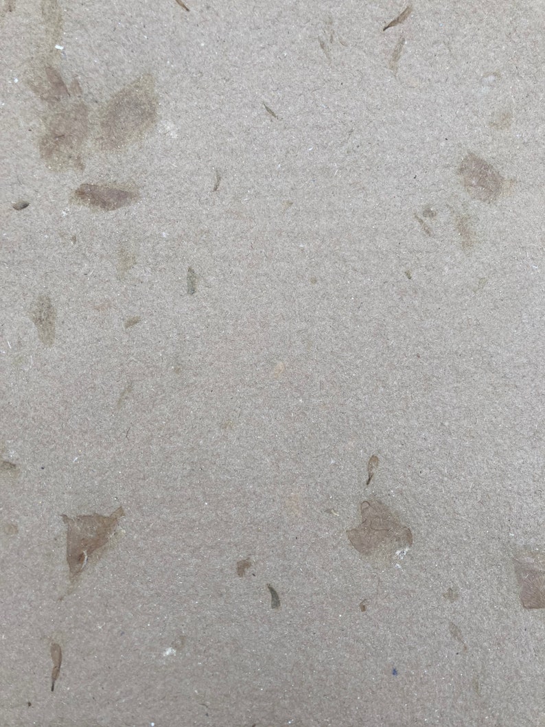 Puede incluir: Primer plano de una superficie de cart&oacute;n texturizada de color marr&oacute;n claro con peque&ntilde;as motas y manchas marrones en toda la superficie.