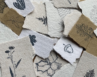 90+ piece Plant image scrap pack, handmade paper, recycled paper, scrapbook embellishments, plants, gardening, fruit, trees, flowers