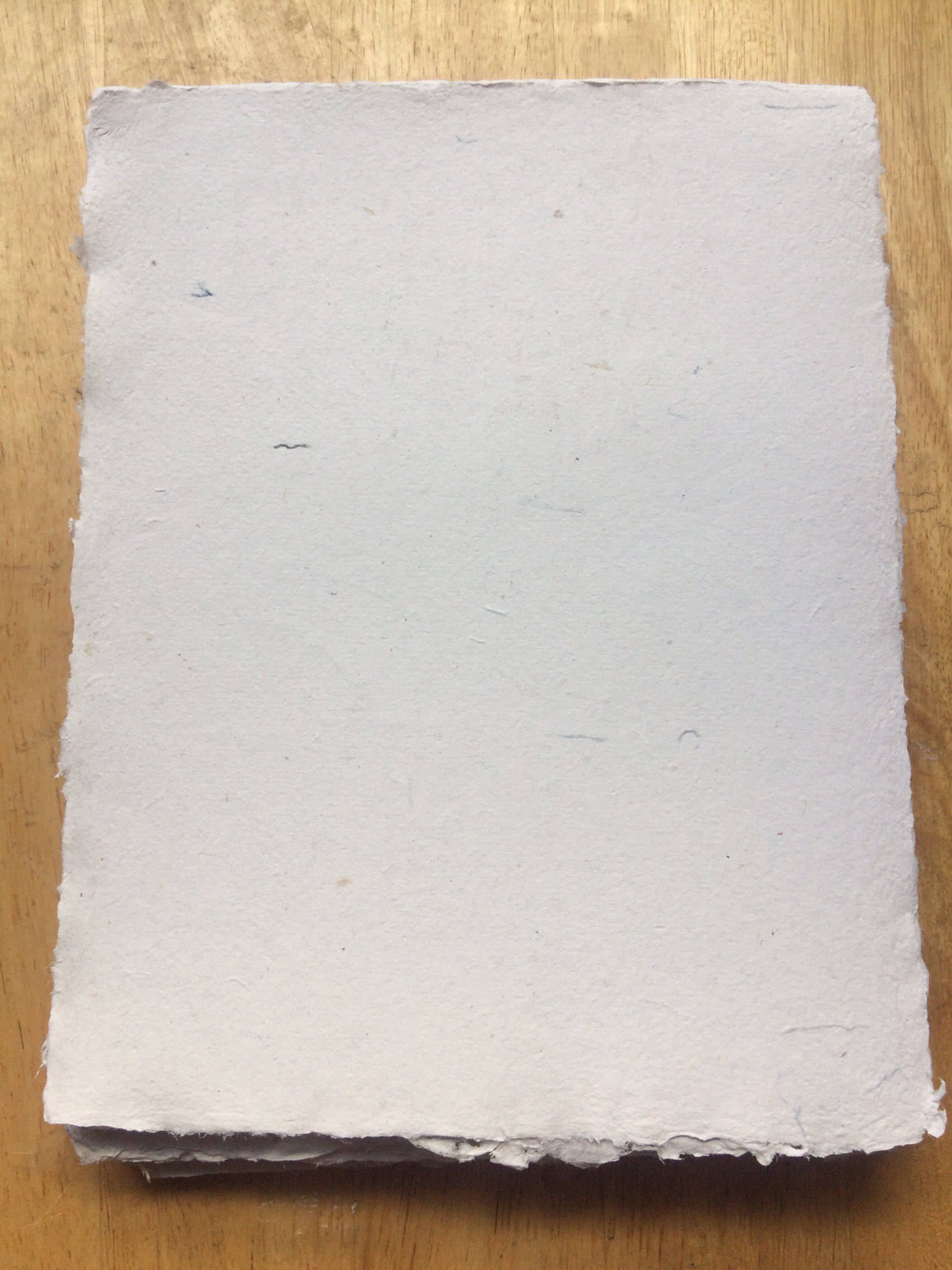 8.5x11 inch Purple Onion Books limited edition, handmade paper, recycled paper, textured paper